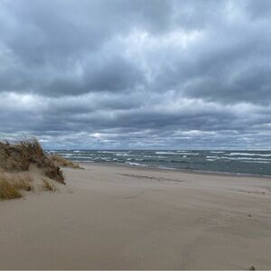 Meet your Posher, Audrey